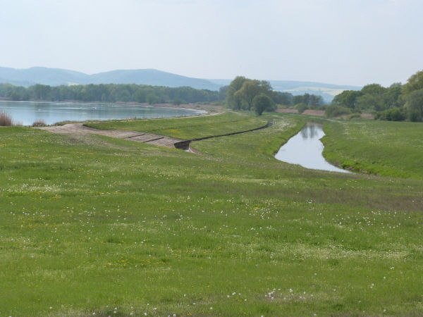 Kelbra10